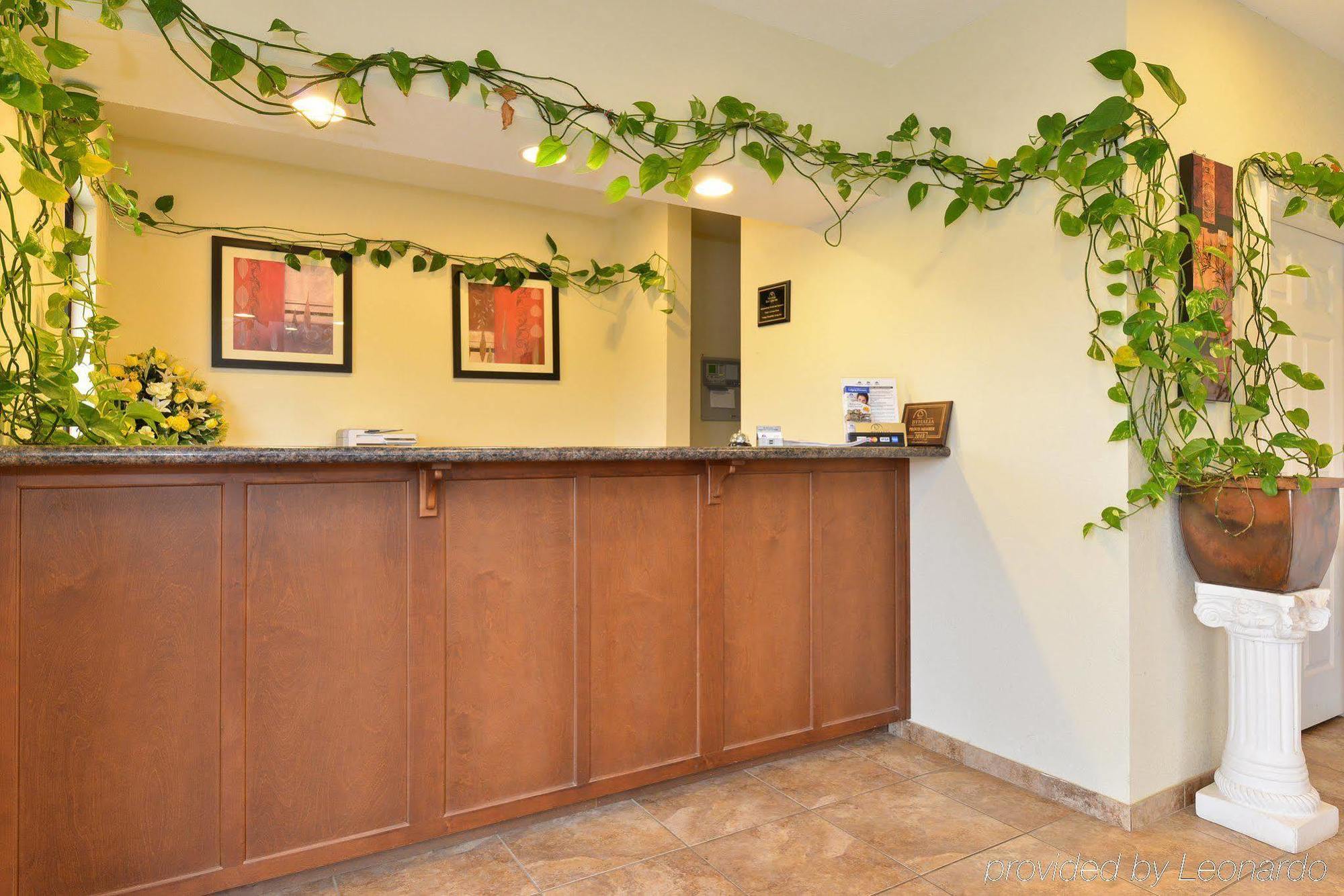 Americas Best Value Inn Byhalia מראה חיצוני תמונה
